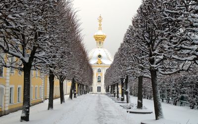Зимние графики работ загородных парков и дворцов Петербурга