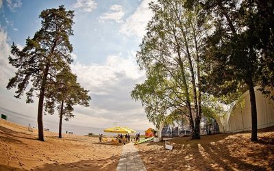Места и беседки, где пожарить шашлык в Петербурге и Ленобласти