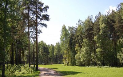 Парки спальных районов Петербурга для прогулок