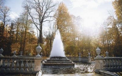 Бесплатные пригородные парки недалеко от Петербурга